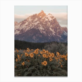 Mountain Wildflowers Canvas Print
