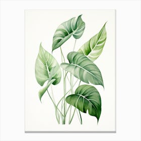 Tropical Leaves 4 Canvas Print
