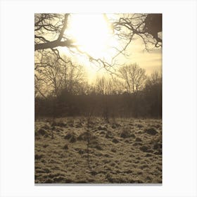 Frosty Landscape at Sunset in Arnos Park, London Canvas Print