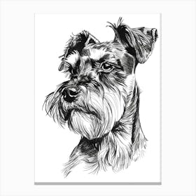 Miniature Schnauzer Dog Black & White Line Sketch 3 Canvas Print