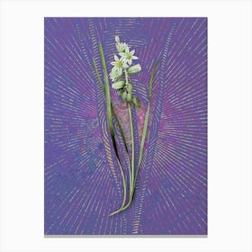 Vintage Drooping Star-of-Bethlehem Botanical Illustration on Veri Peri n.0809 Canvas Print