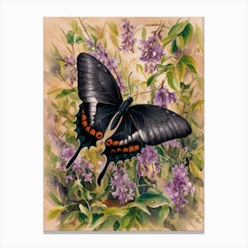 Black Swallowtail Butterfly Canvas Print