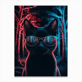 Black Cat In Sunglasses Canvas Print