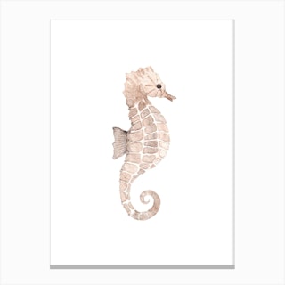 Seahorse Canvas Print
