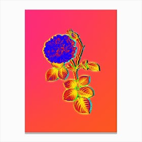 Neon White Rose of York Botanical in Hot Pink and Electric Blue n.0123 Canvas Print