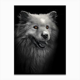 Black And White Fluffy Malamute dog With Orange Eyes. Canvas Print