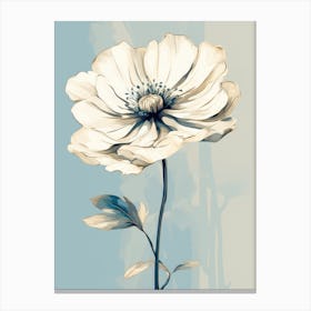 White Anemone Canvas Print