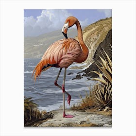 Greater Flamingo Southern Europe Spain Tropical Illustration 2 Canvas Print