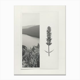 Lavender Flower Photo Collage 1 Canvas Print
