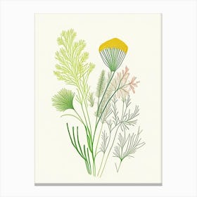 Fennel Seeds Spices And Herbs Minimal Line Drawing 10 Canvas Print