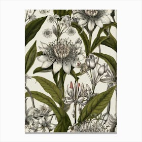 Passion Flower Wallpaper Canvas Print