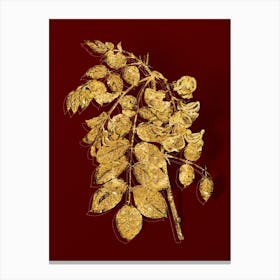 Vintage Robinier Rose Bloom Botanical in Gold on Red Canvas Print