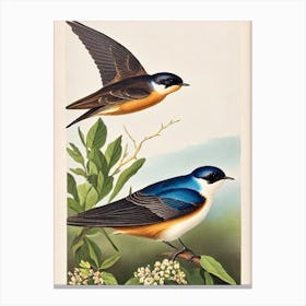 Swallow James Audubon Vintage Style Bird Canvas Print