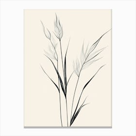 Line Drawing Of A Leaf 3 Canvas Print