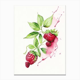 Red Raspberry Herb Minimalist Watercolour 1 Canvas Print