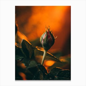 Poster Flower Art Print 9 Canvas Print