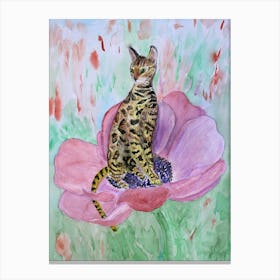 Cats Have Fun The Bengal Сat On A Pink Anemone Flower Canvas Print