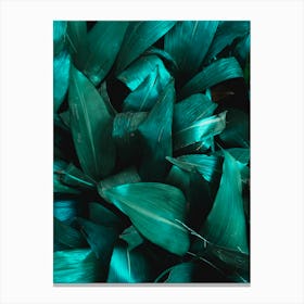 Green Plant Structure Canvas Print