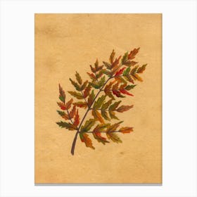 Autumn Fern Canvas Print