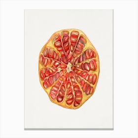 Pomegranate 4 Canvas Print