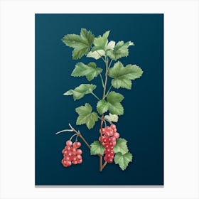 Vintage Redcurrant Plant Botanical Art on Teal Blue n.0666 Canvas Print