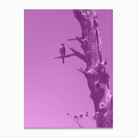 Amethyst Falcon Canvas Print