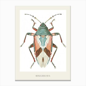 Colourful Insect Illustration Boxelder Bug 11 Poster Canvas Print
