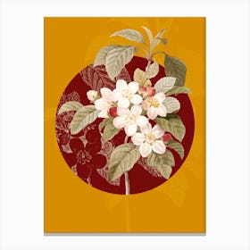 Vintage Botanical Apple Blossom Flores Mali on Circle Red on Yellow n.0150 Canvas Print