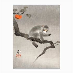 Monkey In Cockatoo (1900 1930), Ohara Koson Canvas Print