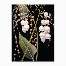 Flower Illustration Lily Of The Valley 3 Canvas Print