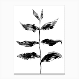 Black Plant One Canvas Print