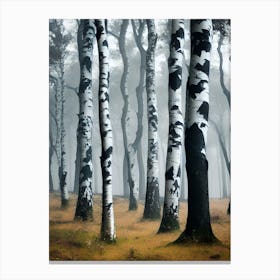 Birch Trees 47 Canvas Print