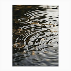 Ripples In The Water 4 Canvas Print