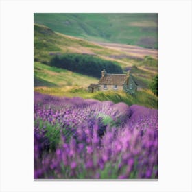 Lavender Fields In Scotland Canvas Print