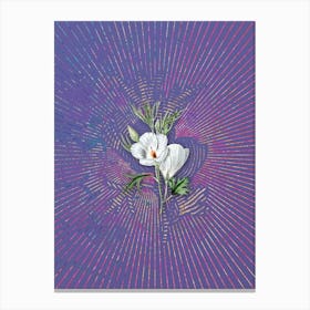 Vintage Lilac Hibiscus Flower Branch Botanical Illustration on Veri Peri n.0136 Canvas Print