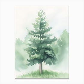 Douglas Fir Tree Atmospheric Watercolour Painting 2 Canvas Print
