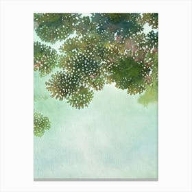 Acropora Nana Ii Storybook Watercolour Canvas Print