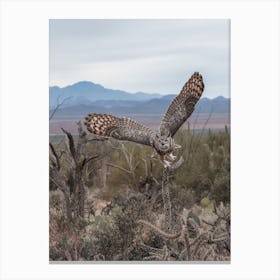 Desert Great Horned Owl Canvas Print