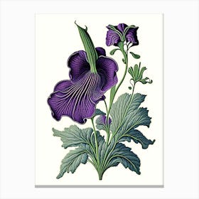 Violet Herb Vintage Botanical Canvas Print