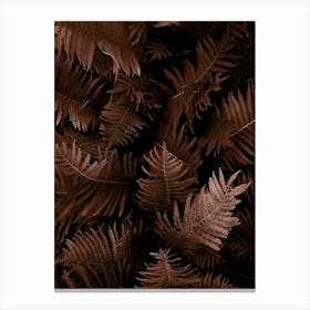 New Foliage Fall Ii Canvas Print