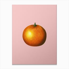 Vintage Orange Botanical on Soft Pink n.0827 Canvas Print
