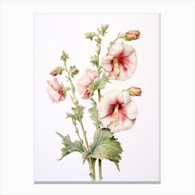 Pressed Flower Botanical Art Hollyhock 3 Canvas Print