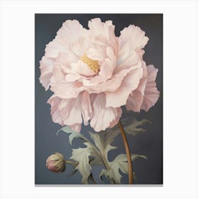 Floral Illustration Peony 3 Canvas Print