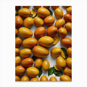 Oranges On White Background Canvas Print