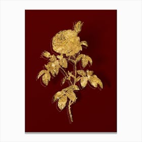 Vintage Provence Rose Bloom Botanical in Gold on Red Canvas Print