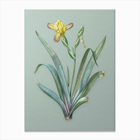 Vintage Hungarian Iris Botanical Art on Mint Green n.0383 Canvas Print