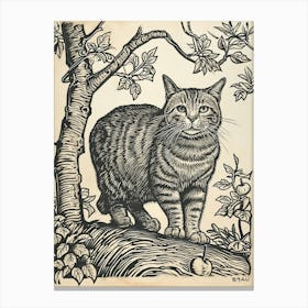 Manx Cat Relief Illustration 2 Canvas Print