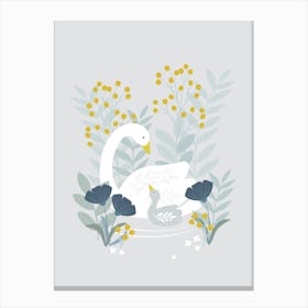 Mother And Baby Swan 2 Canvas Print