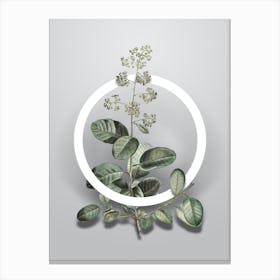 Vintage European Smoketree Minimalist Floral Geometric Circle on Soft Gray Canvas Print