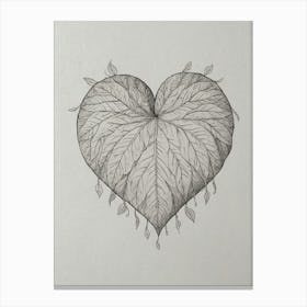 Heart Of Leaves 1 Canvas Print